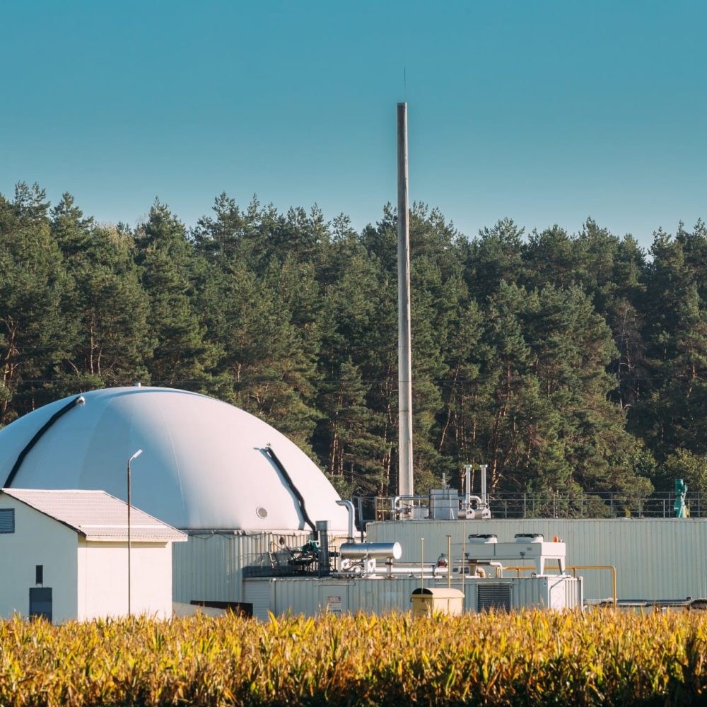 biogas-plant-or-bioreactor-for-fermentation-of-chi-2025-02-25-07-57-50-utc - Copy